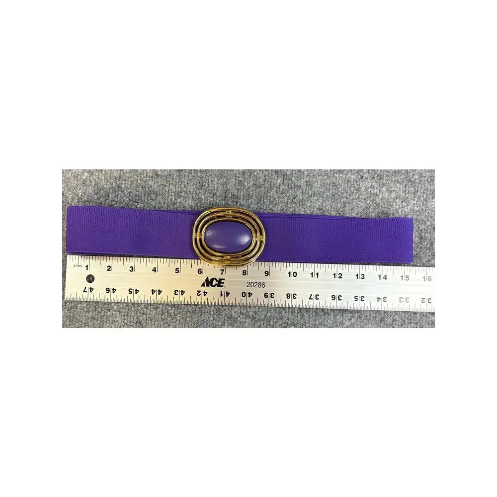 Vintage Day Lor Purple / Gold belt Oval Buckle with Leather accent Sz 30/32